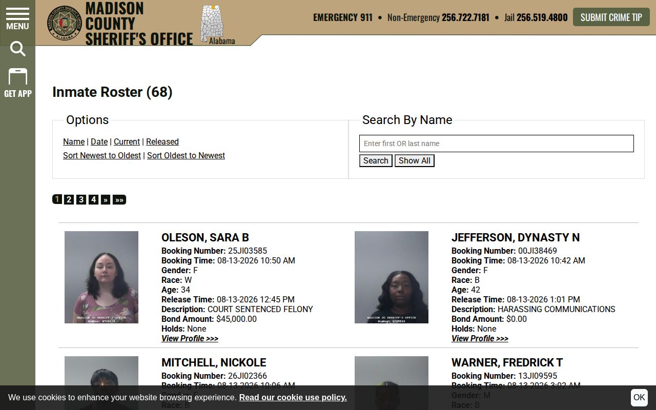 Madison County released booking record roster view